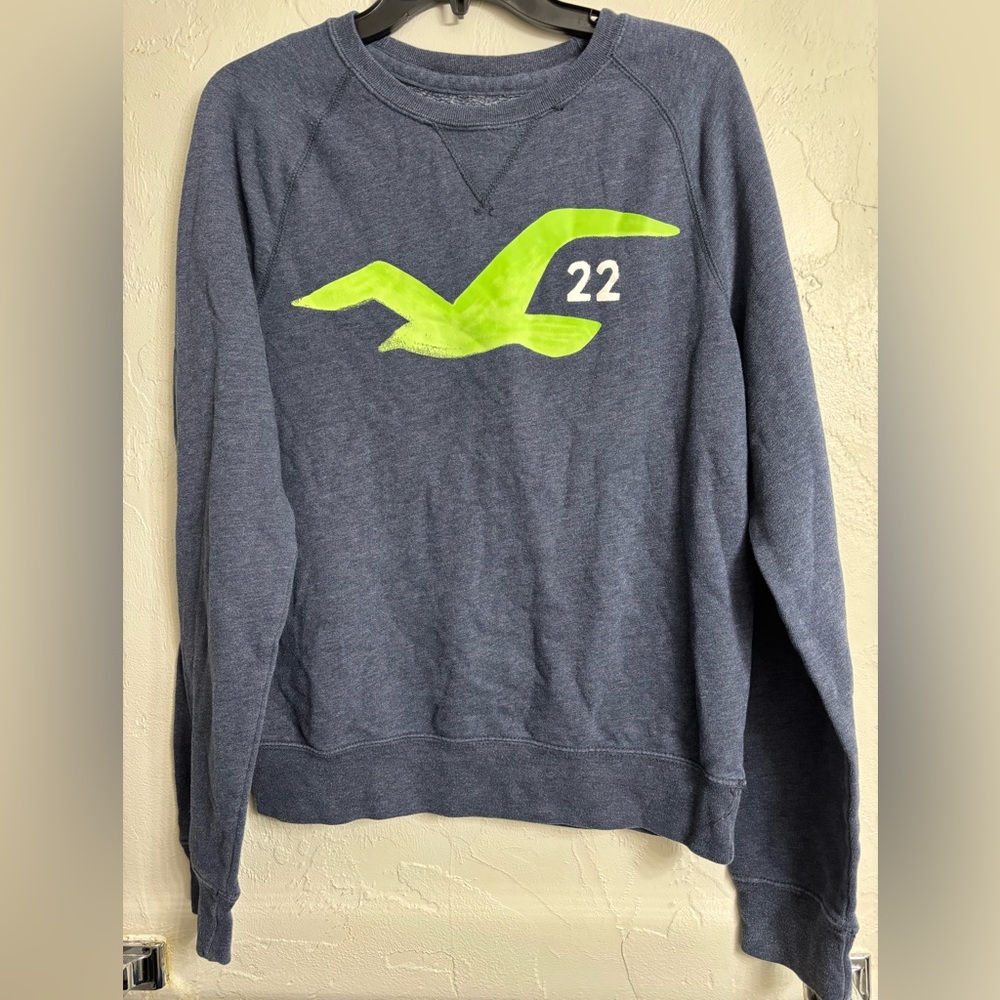 Y2K Hollister crewneck
